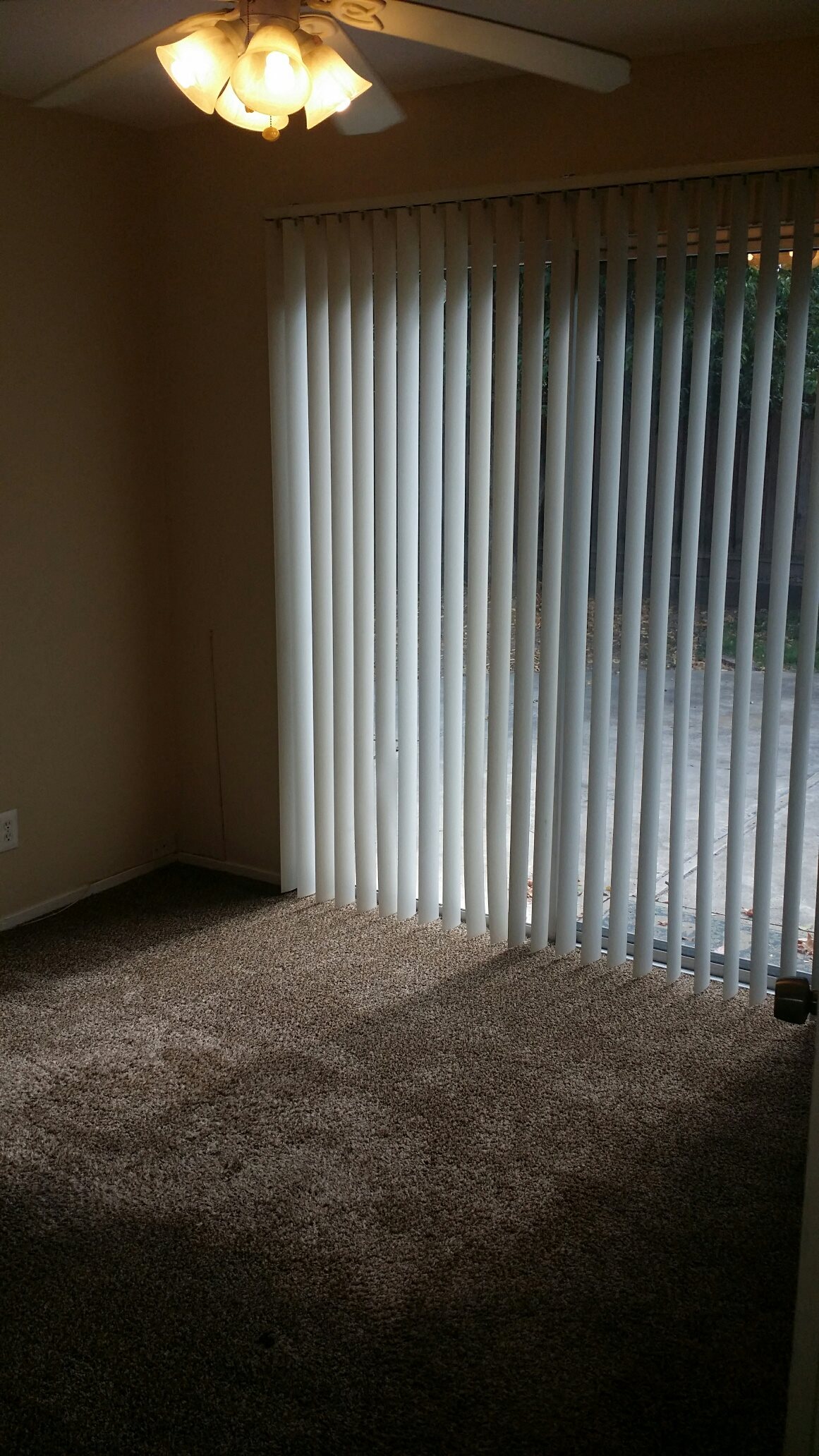 Gallery Photo 13